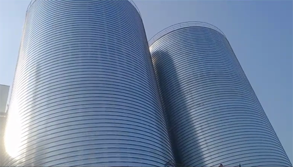 温州2座混凝土高架卷板仓